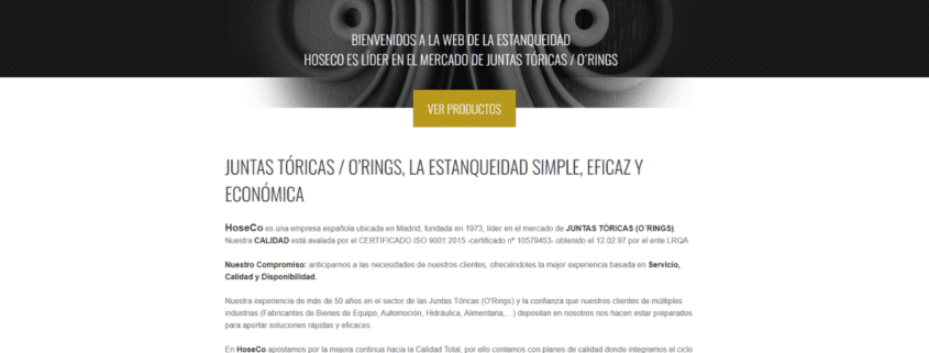 Cómo mejoramos la presencia online de nuestros clientes: Caso de éxito en diseño web 1 BLOGS ANA 8 - Agencia SEO y SEM